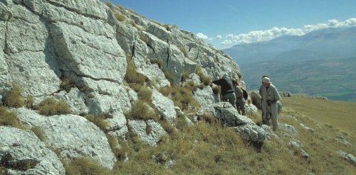 Geological observations on the Monte Primo.