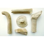 Fragments of Roman amphorae.